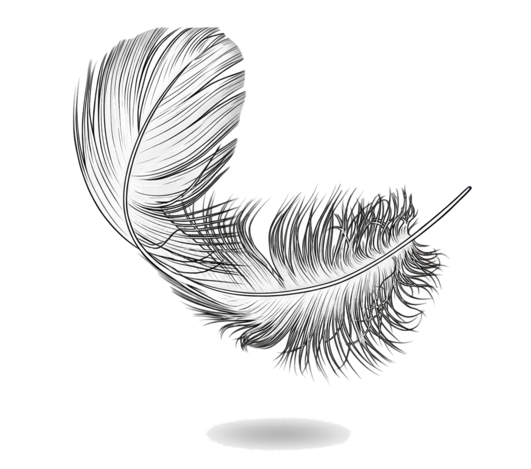 Fine ink illustration of a single falling feather, original artwork by Claire Lhasa Wild